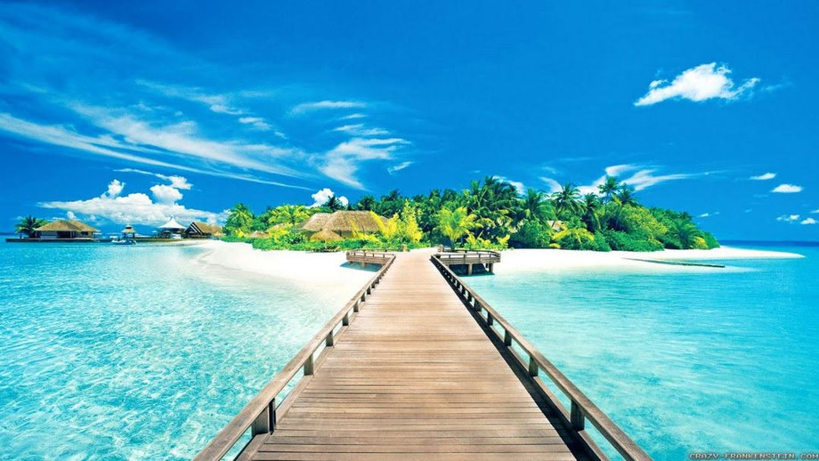My20DollarTravelBusiness