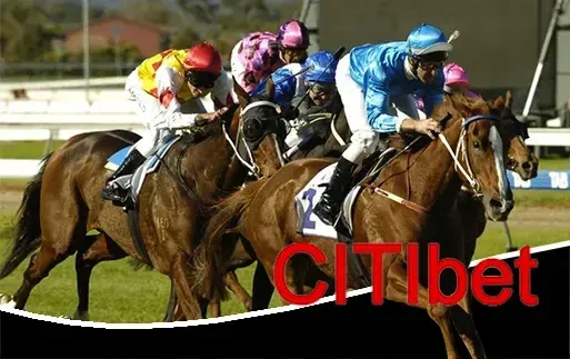 citibet.webp