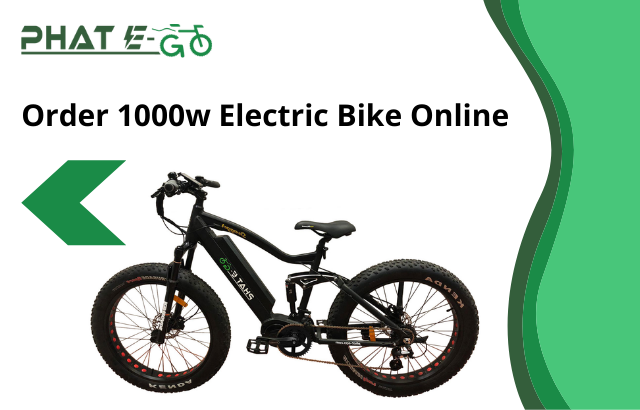 order electric bike online