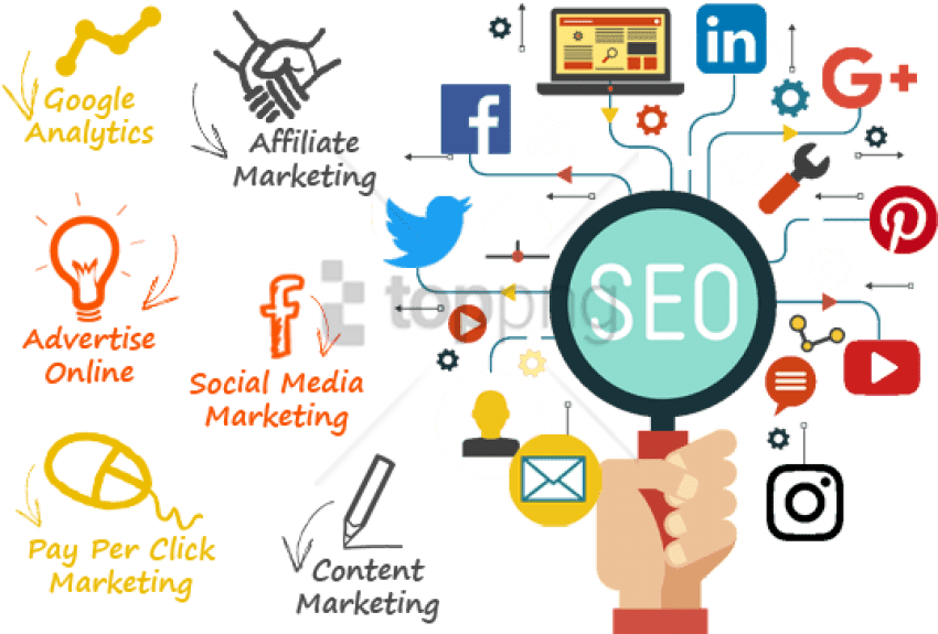 How SEO plays a crucial role in businesses? As well as increase website ...