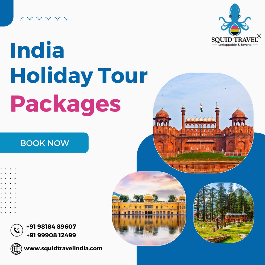 indiaholidaytour.png