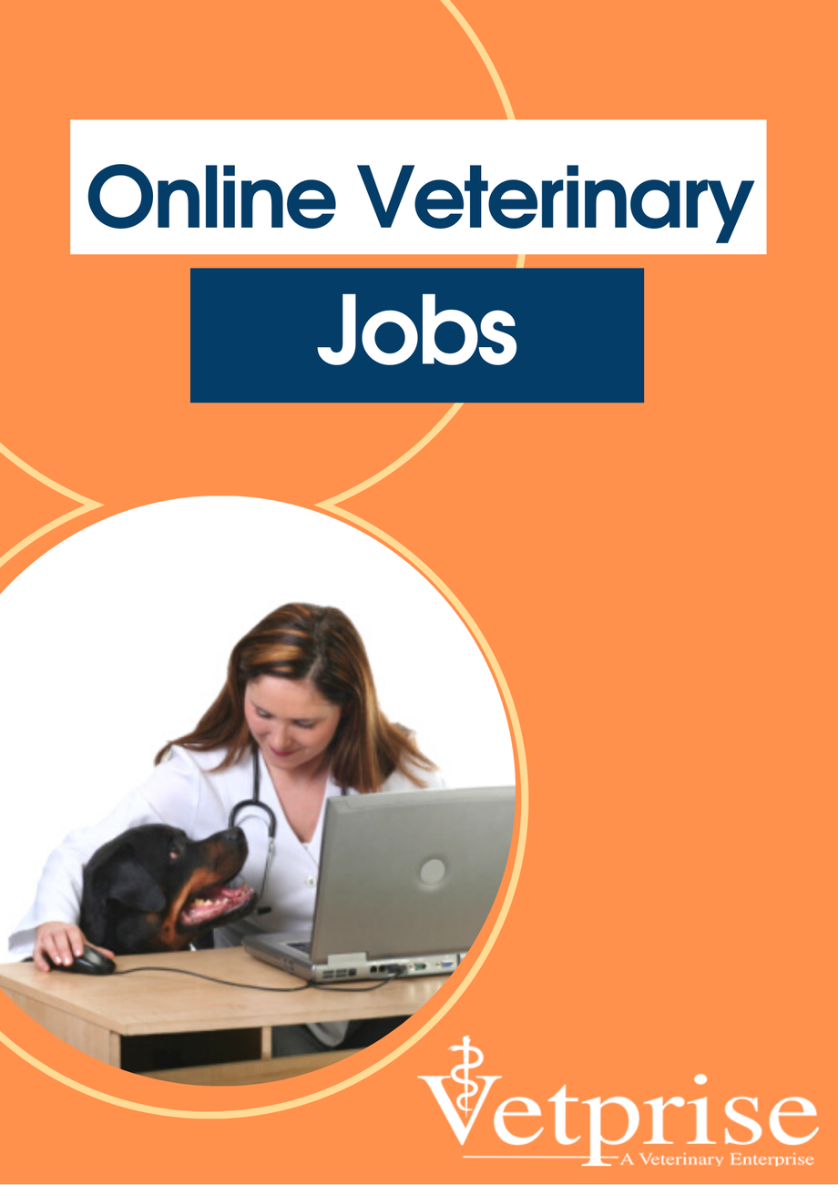 Online Veterinary Jobs USA JustPaste.it