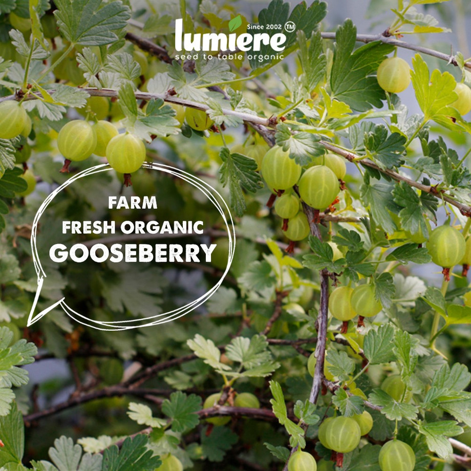 Organic Farms Near Me JustPaste.it