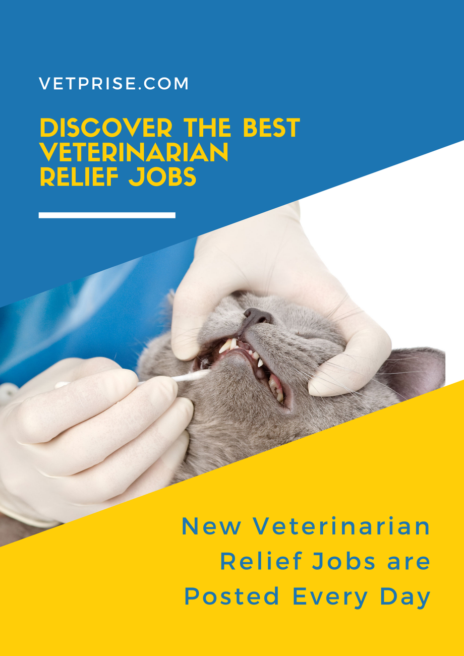 Veterinarian Relief Jobs JustPaste.it