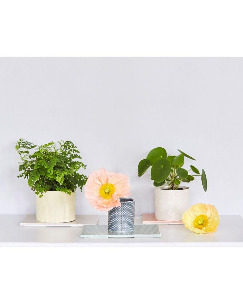 flowerpot.jpg