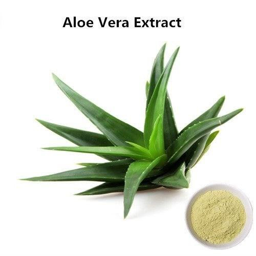Aloe Vera Extract1.jpg