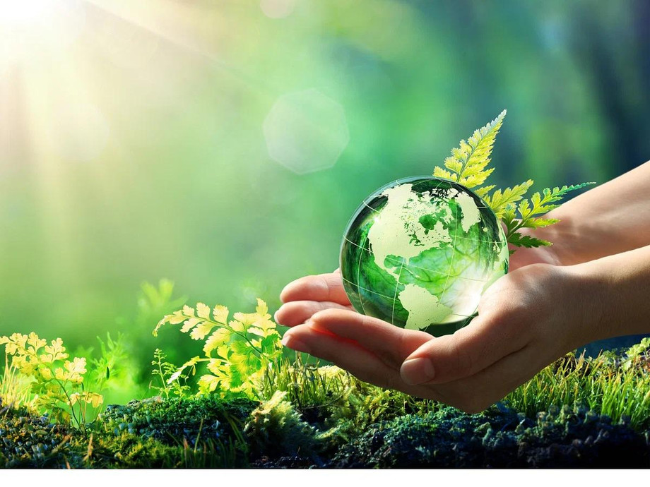 thequint2022070187ab93d5454ff88a6a445849ae9e87hands_holding_globe_glass_in_green_forest_environment_concept_element_picture_id1129110491_jpg.jpg