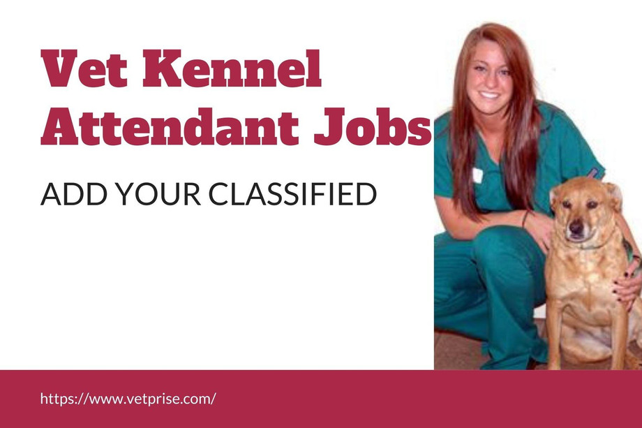 vet-kennel-attendant-jobs-justpaste-it