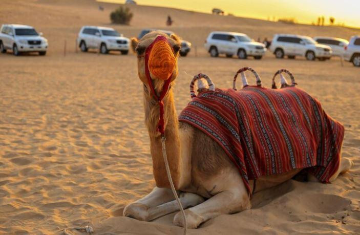 jaisalmerdesertjeepsafari.JPG