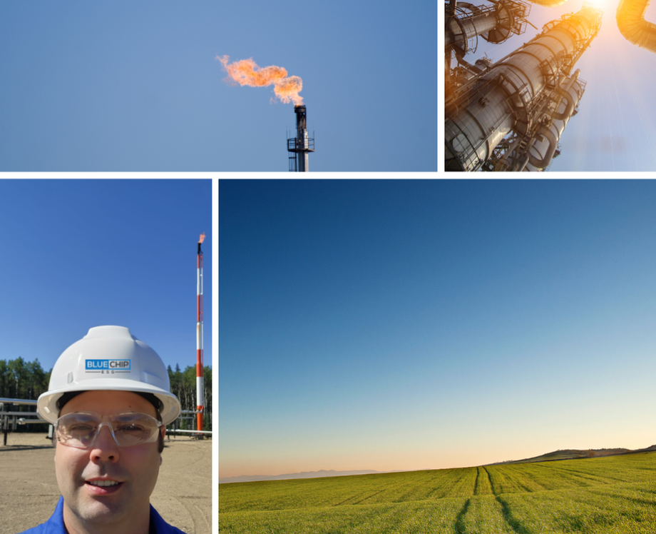 carboncredit1024x833.png