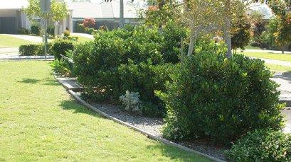 jmnmakeover_landscapings.jpg