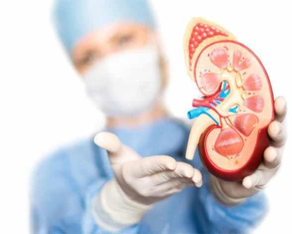 kidneytransplant1.jpg