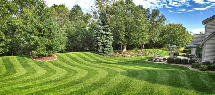 lawnmaintenance705x314.jpg