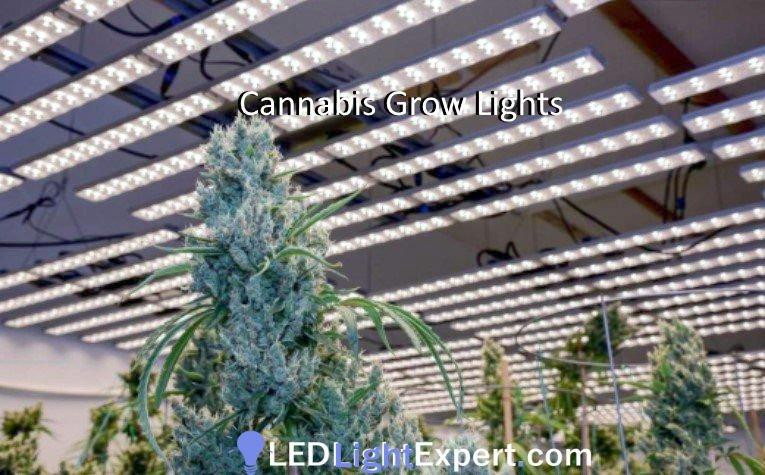 led_cannabis_grow_lights_header_image_lle_750px.jpg