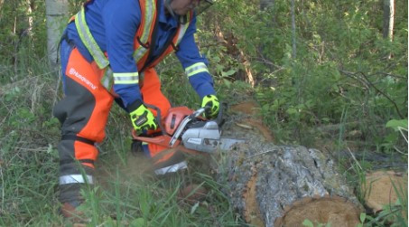 5tyfgvb.jpg 5tyfgvb.jpg