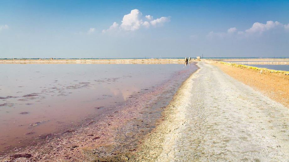 sambharsaltlakebanks.jpg