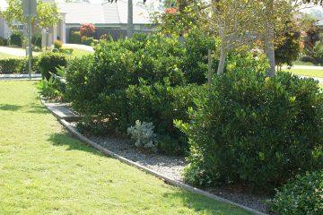 jmnmakeover_landscapings360x240.jpg