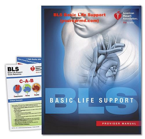 cardiovascular life support
